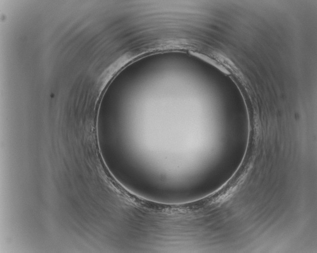 X0000069381089200605192143