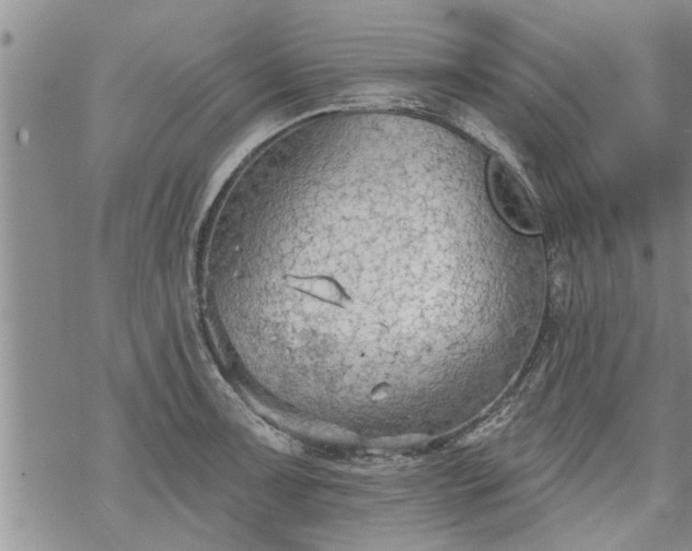 X0000069381091200605192143