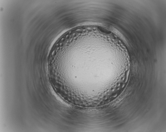 X0000069381092200605192143