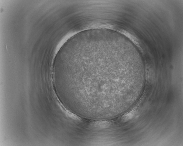 X0000069381094200605192143