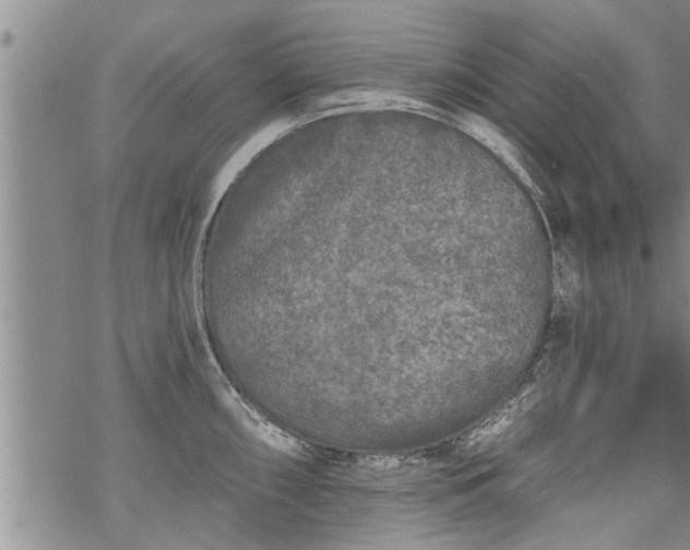 X0000069381098200605192143