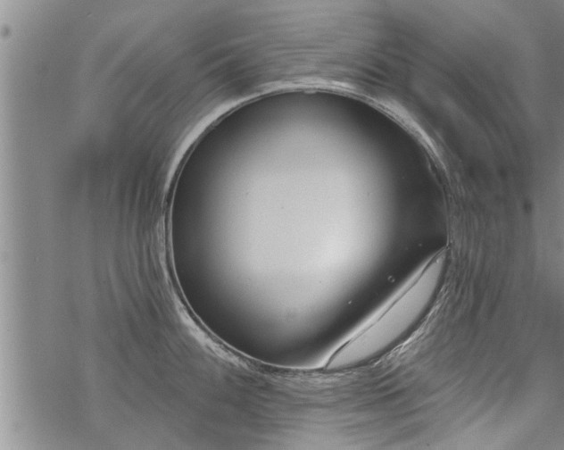 X0000069381100200605192143