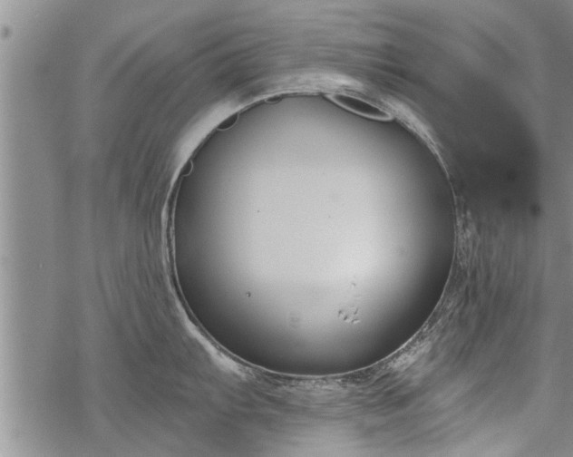 X0000069381103200605192142