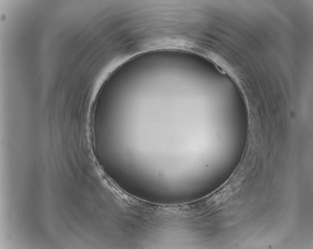 X0000069381104200605192142