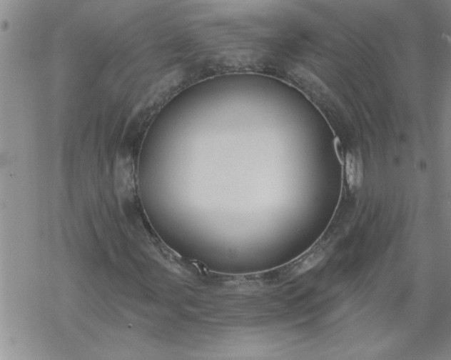 X0000069381107200605192142