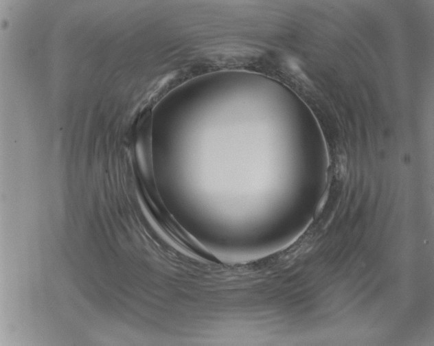 X0000069381108200605192142