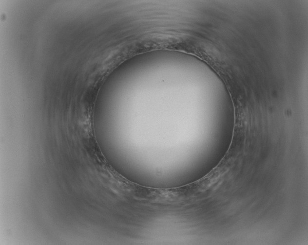 X0000069381109200605192142