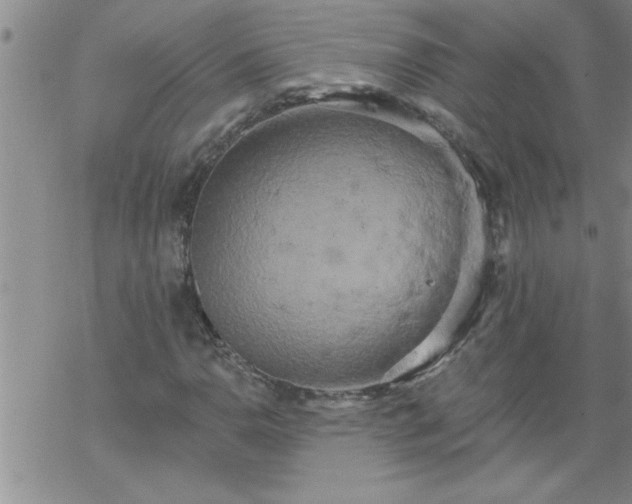 X0000069381110200605192142