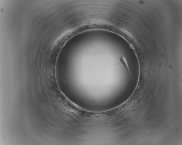 X0000069381112200605192142