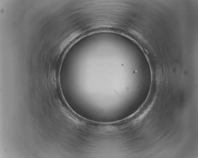 X0000069381113200605192142