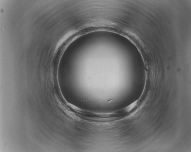 X0000069381114200605192142