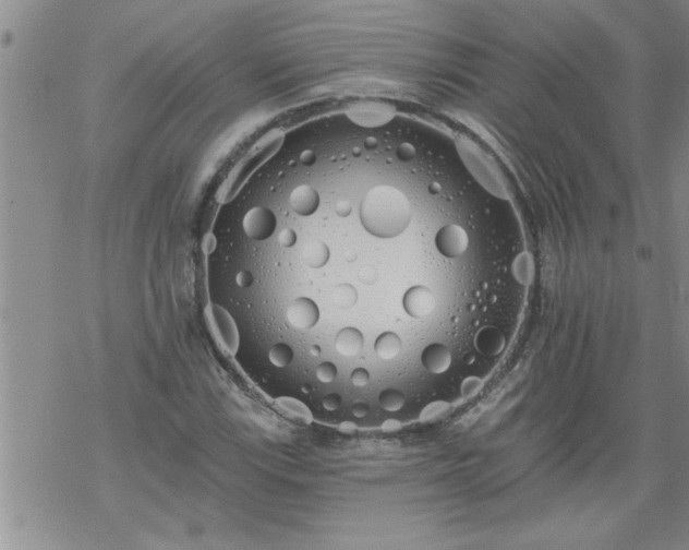 X0000069381115200605192142