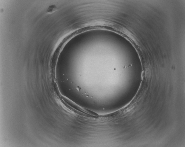 X0000069381116200605192142