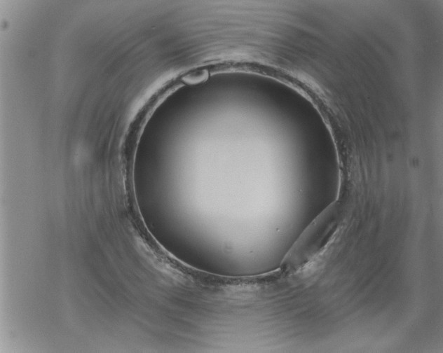 X0000069381118200605192142