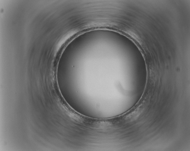 X0000069381119200605192142