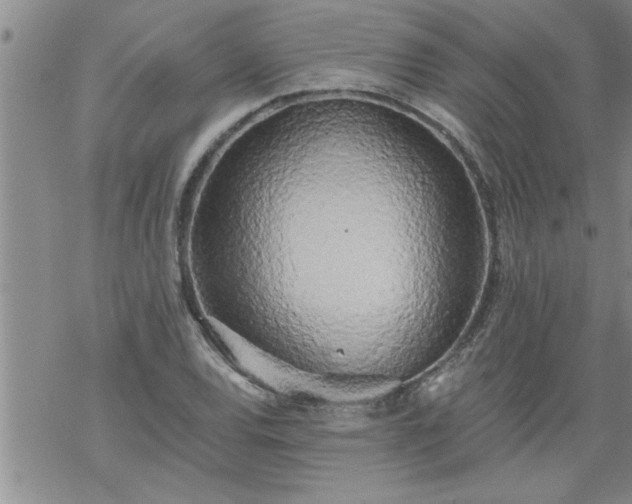 X0000069381120200605192142