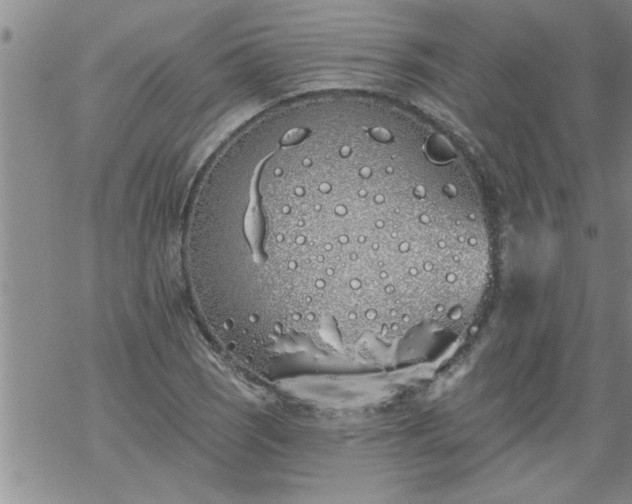 X0000069381121200605192142