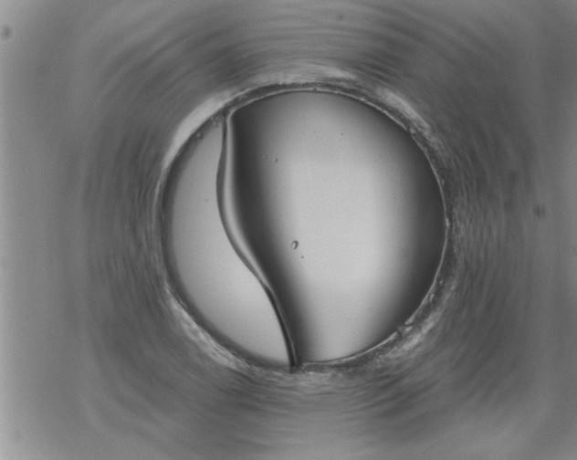 X0000069381122200605192142