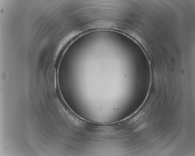 X0000069381123200605192142