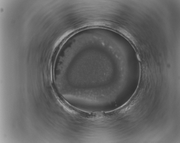 X0000069381127200605192142