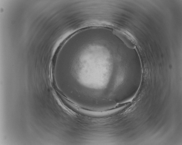 X0000069381128200605192142