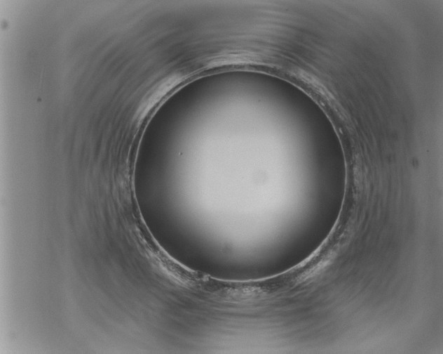 X0000069381129200605192142