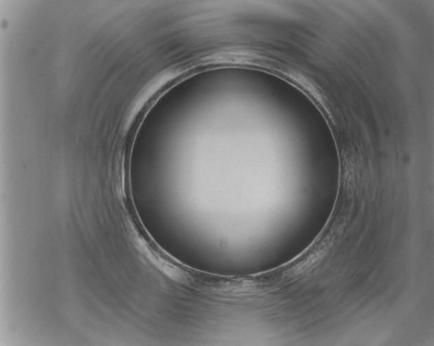 X0000069381131200605192142