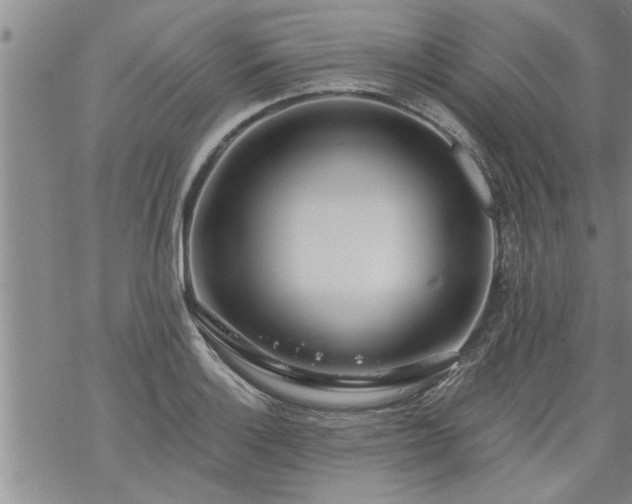 X0000069381132200605192142