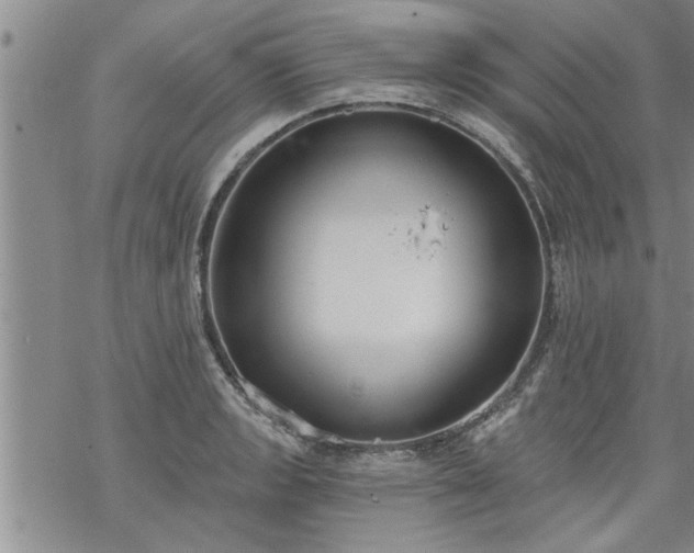 X0000069381133200605192142