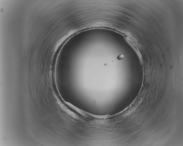 X0000069381134200605192142