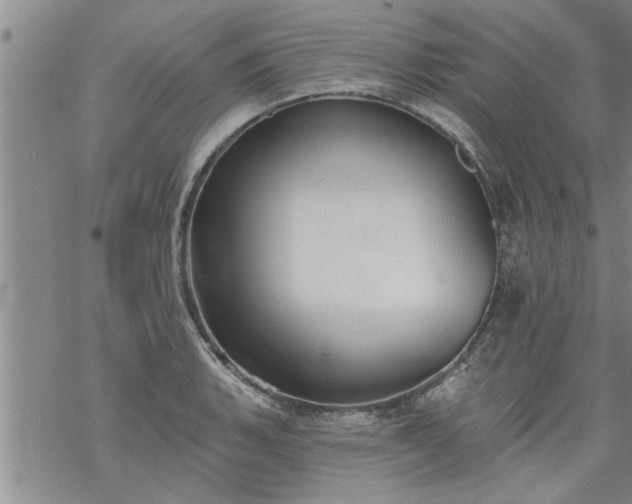 X0000069381135200605192142