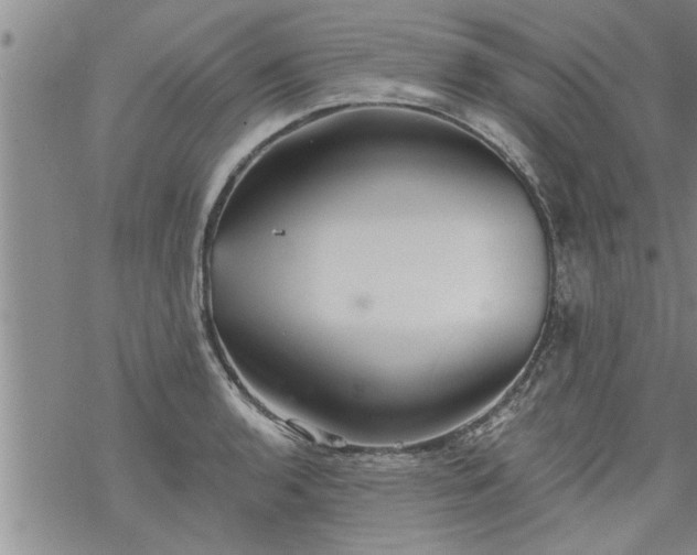 X0000069381136200605192142