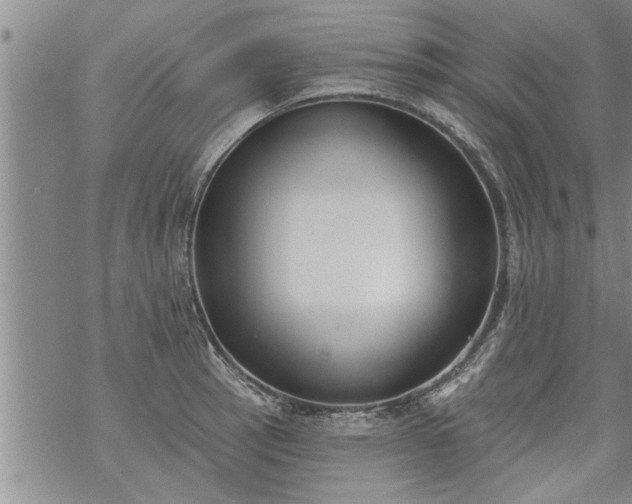 X0000069381137200605192142