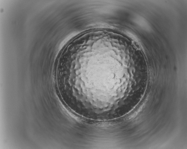 X0000069381141200605192142