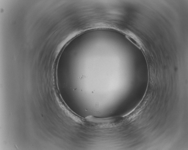 X0000069381142200605192142