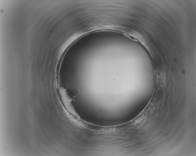 X0000069381143200605192142