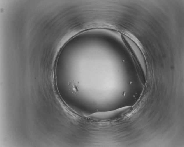 X0000069381144200605192142