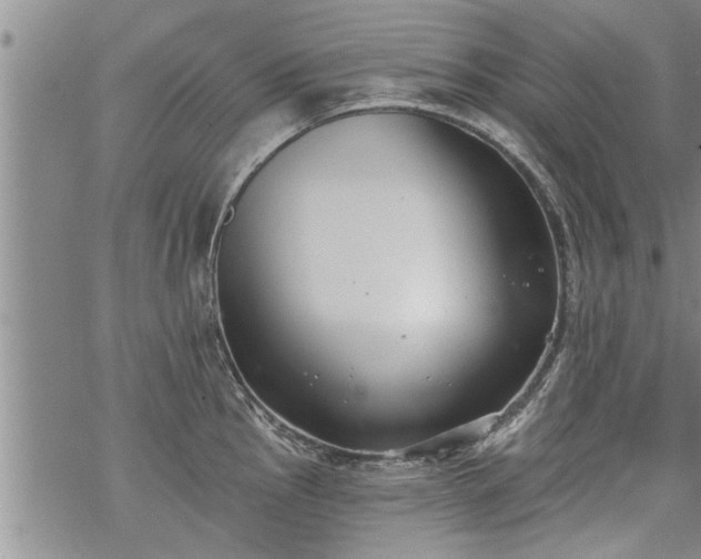 X0000069381145200605192142