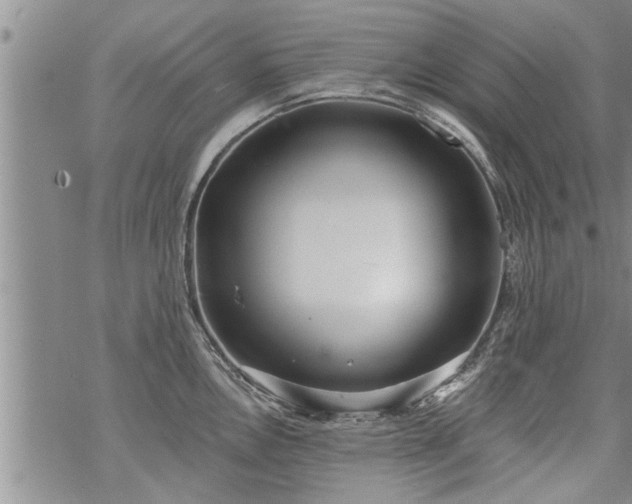 X0000069381146200605192142