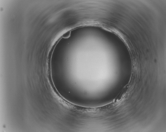 X0000069381147200605192142