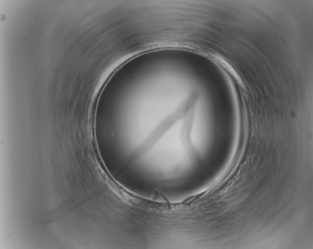 X0000069381148200605192142