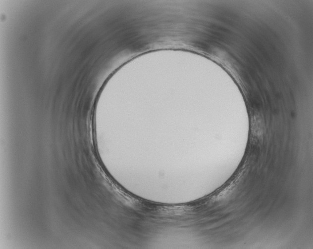 X0000069381150200605192142