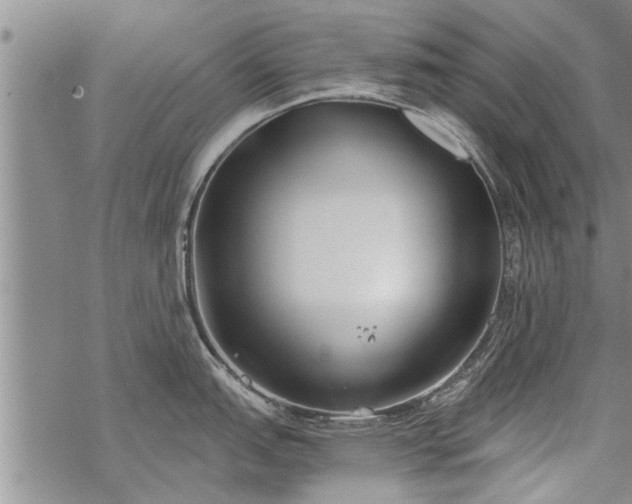 X0000069381151200605192142