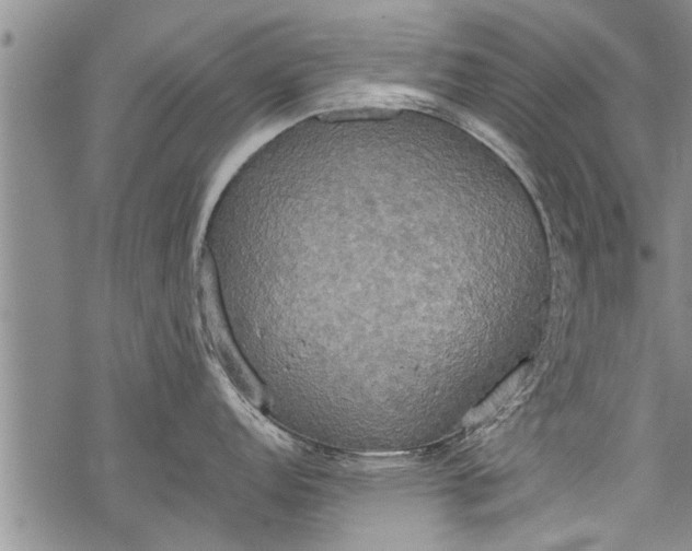 X0000069381152200605192142