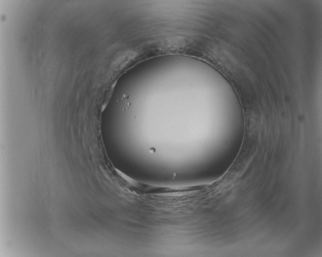 X0000069381153200605192142