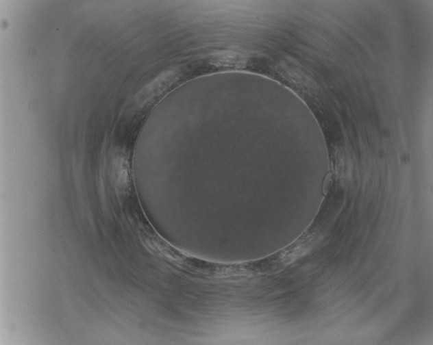 X0000069381154200605192142