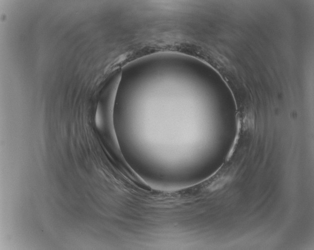 X0000069381156200605192142