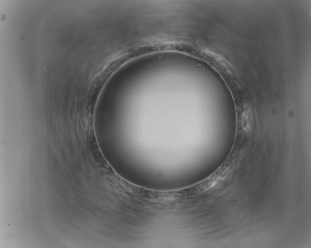 X0000069381157200605192142