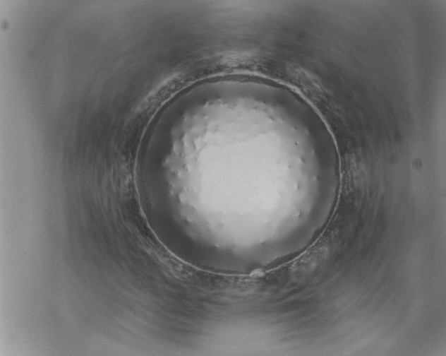 X0000069381158200605192142