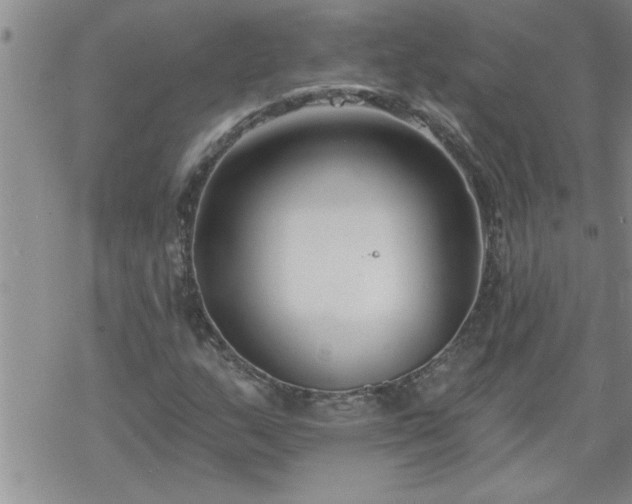 X0000069381159200605192142